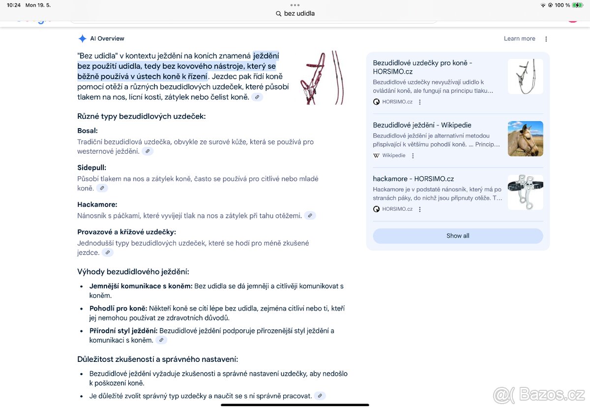 Uzdečka na jízdu bez udidla - 7