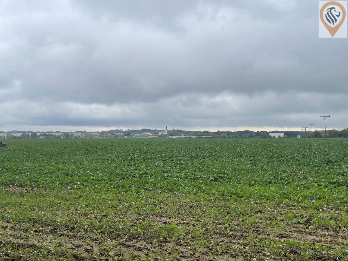 Prodej orné půdy o rozloze 7 001m2 - 7