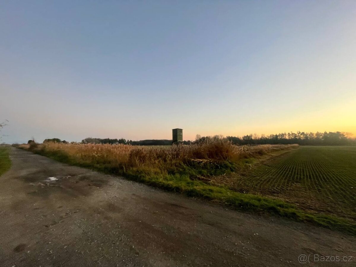 Nová Ponuka, 45 172 m² pri Levároch - 7