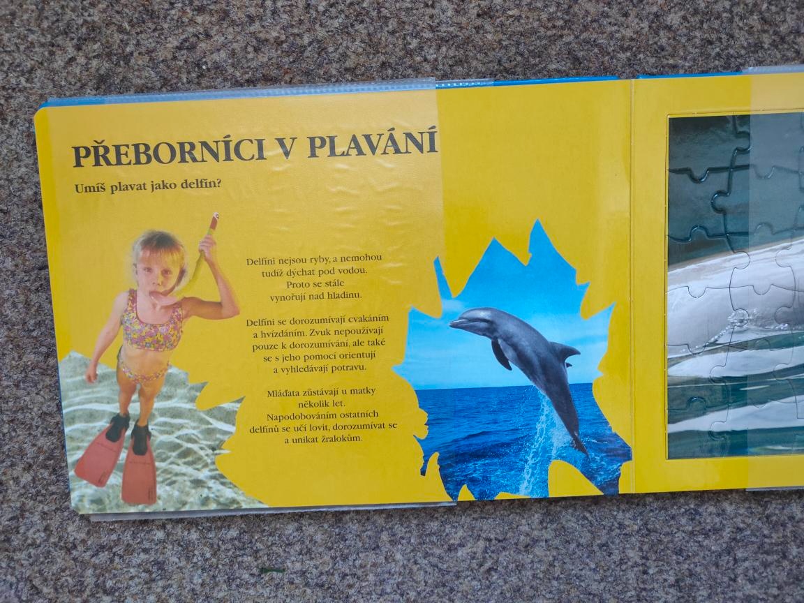 Puzzle kniha Delfíni - 7