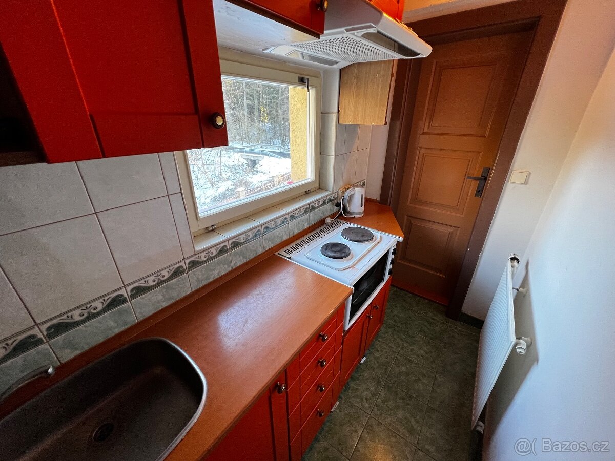 Pronájem bytu 1+1 50 m² - 7