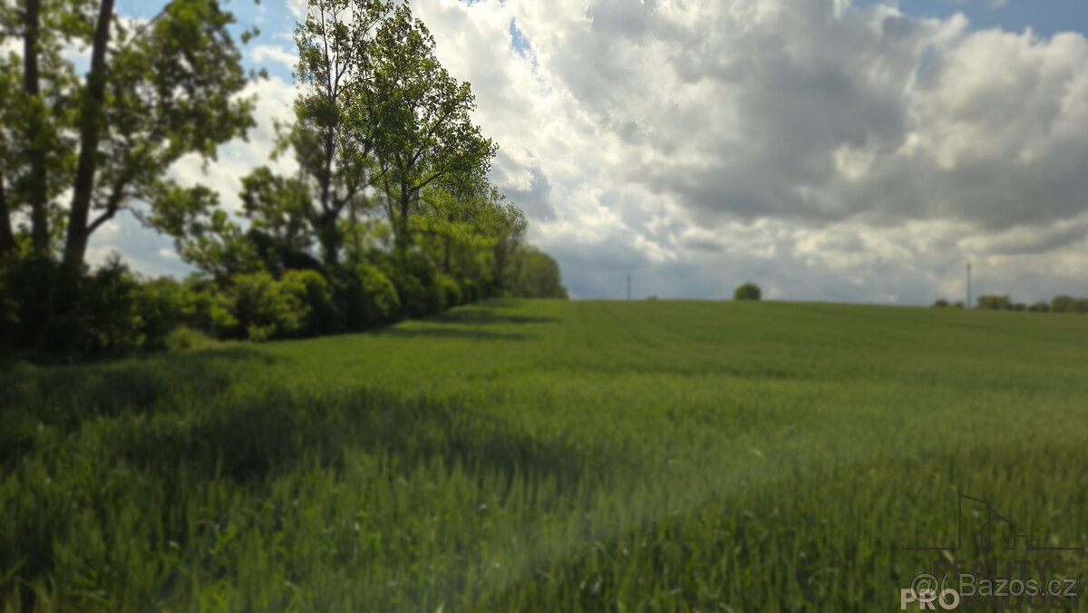 Prodej pozemků 2649 m2 v Kyjově - Nětčicích - 7