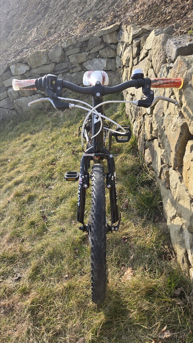 Dětské kolo Superior Paint 20 - 7