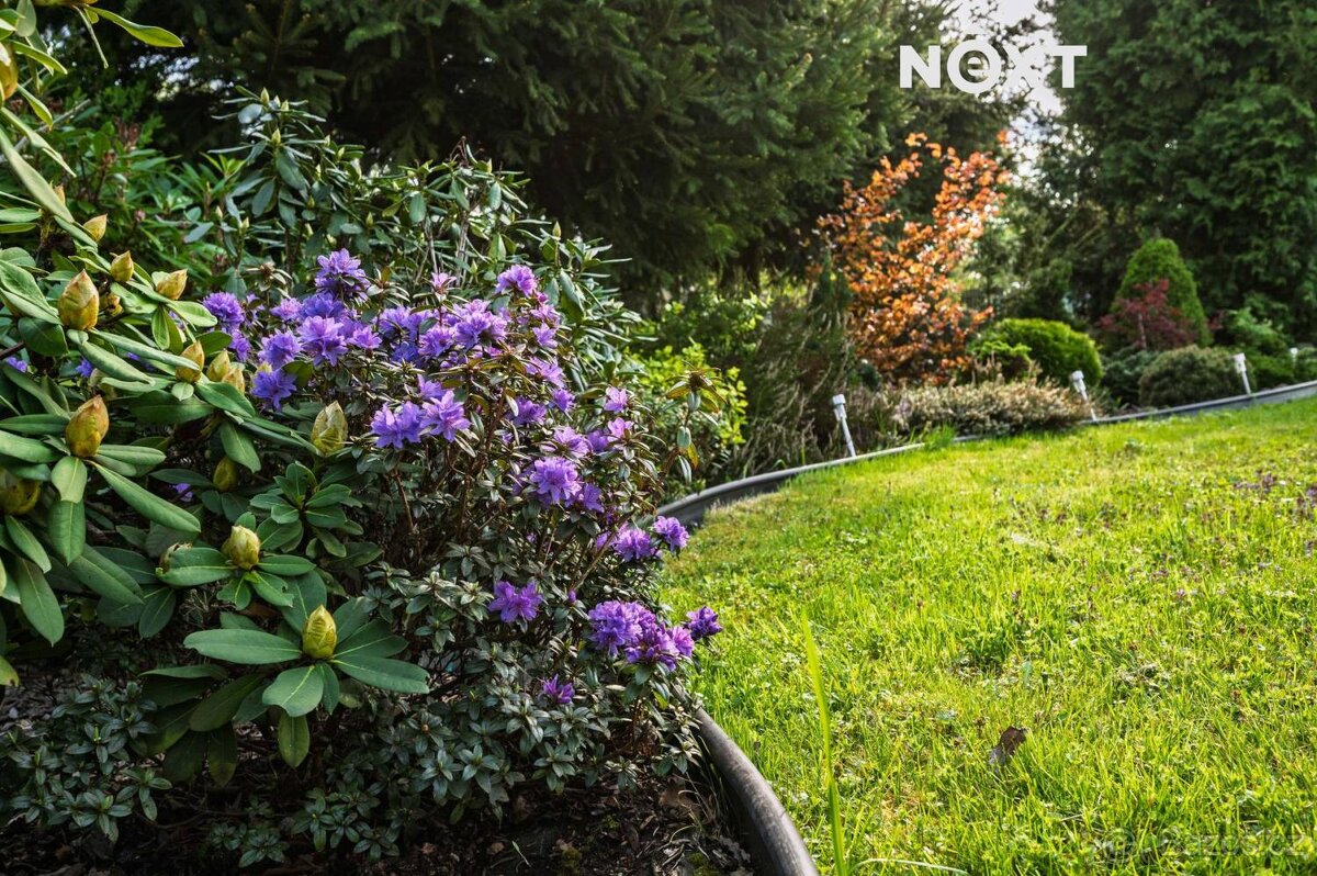 Prodej Rodinný dům, 240㎡ - 7