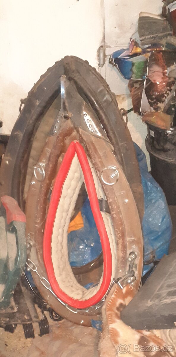 Prodám koňské potřeby - 7