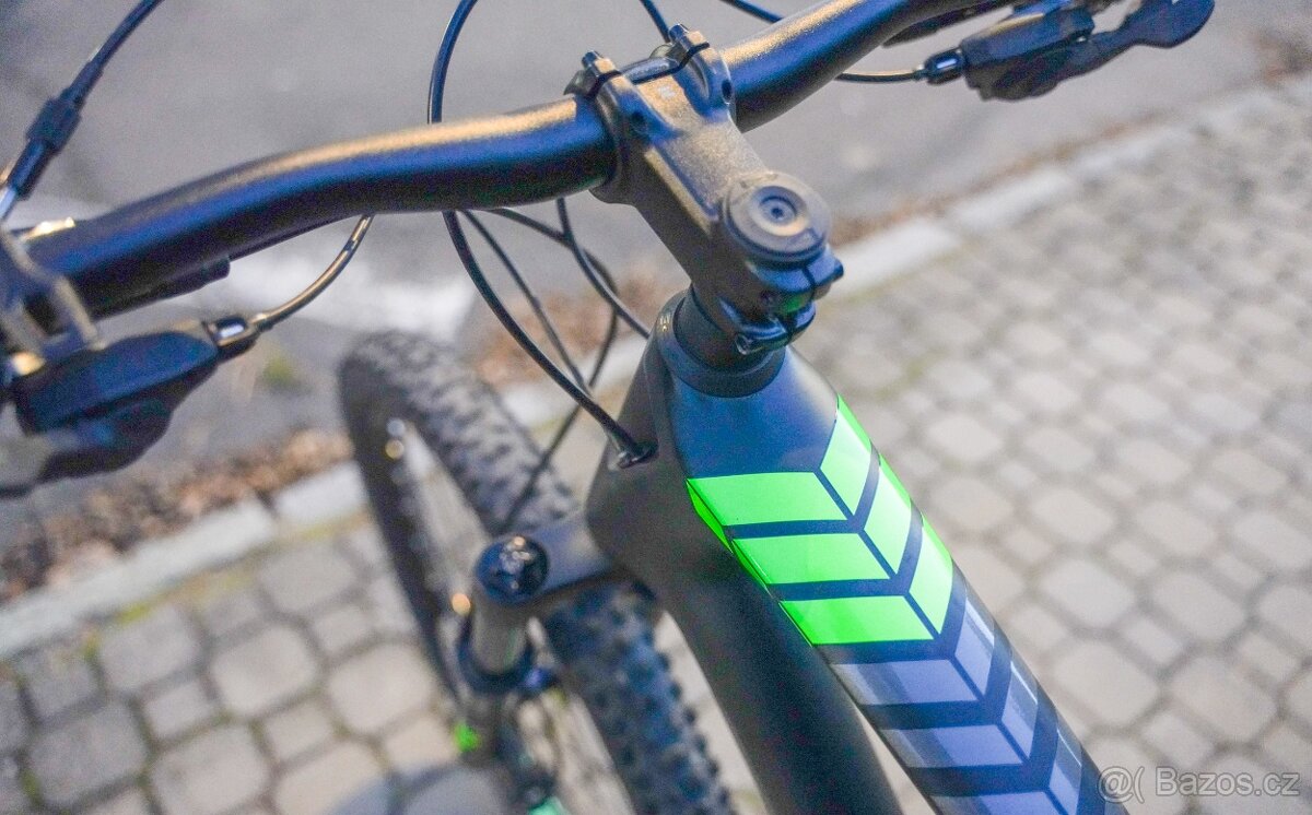 FOCUS SPINE C LITE 22G 2017 - 7