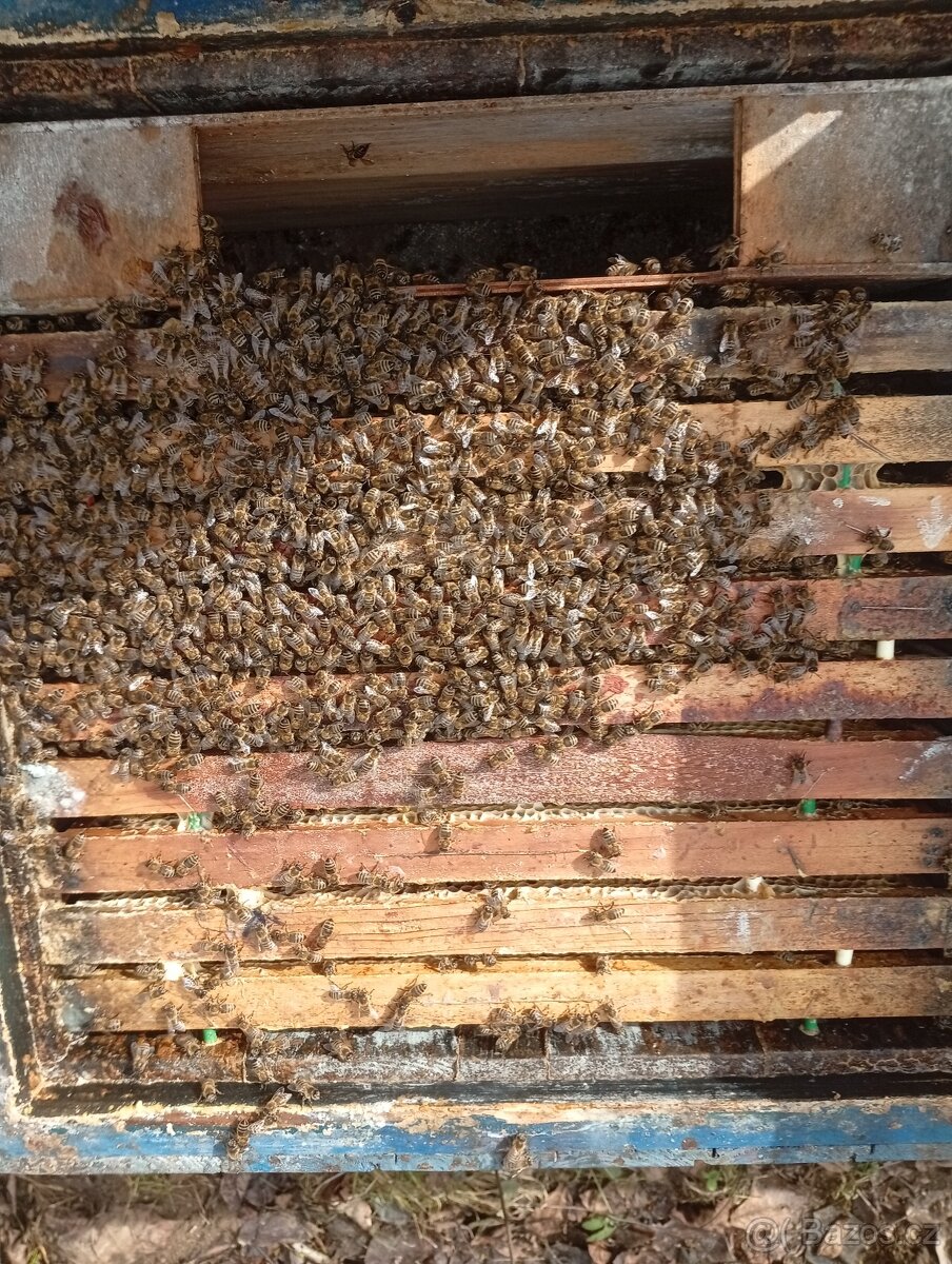 Vyzimované oddělky - 7