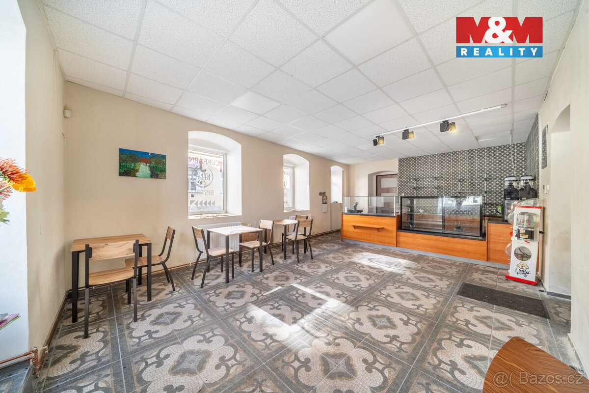 Pronájem skladu, 124 m², Nepomuk, ul. Husova - 7