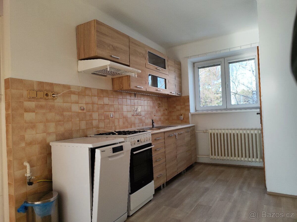 Pronajmu byt 2+1 - 7