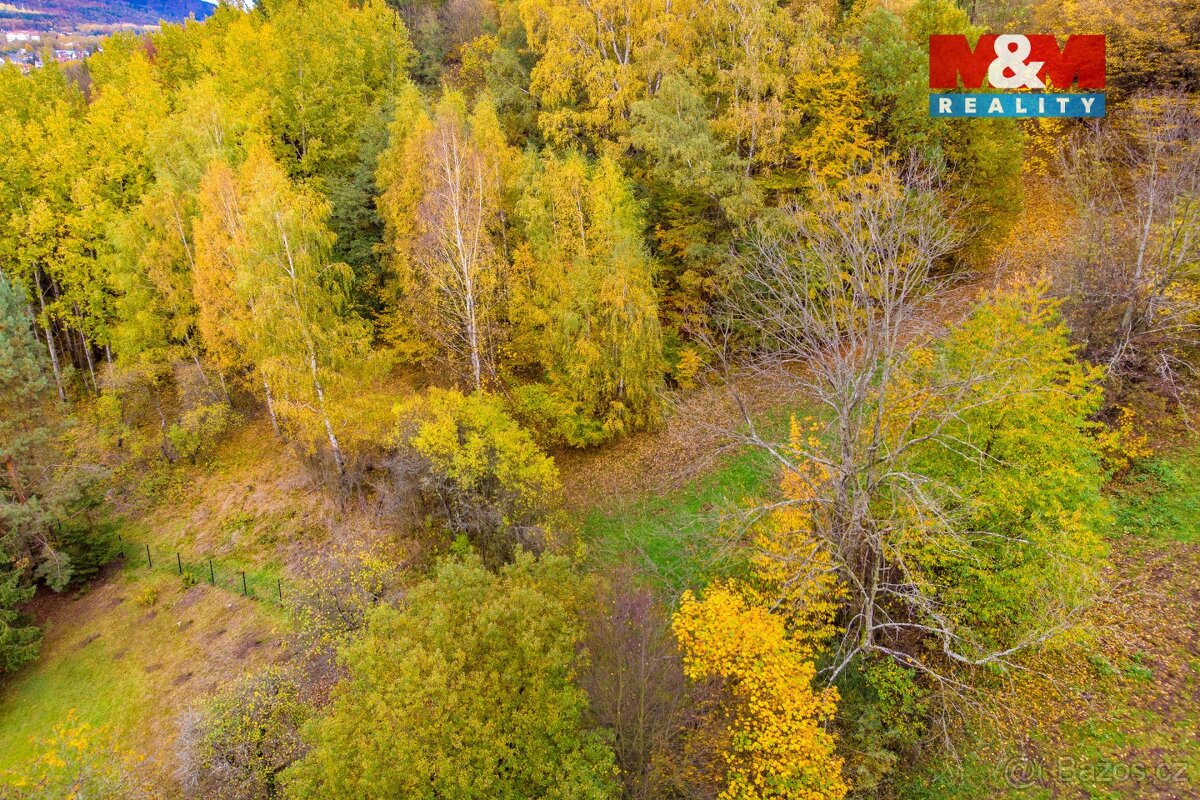 Prodej lesa, 3004 m², Skalice u České Lípy - 7