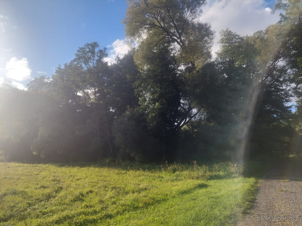 Orná půda a TTP Žďár u Blovic - 7