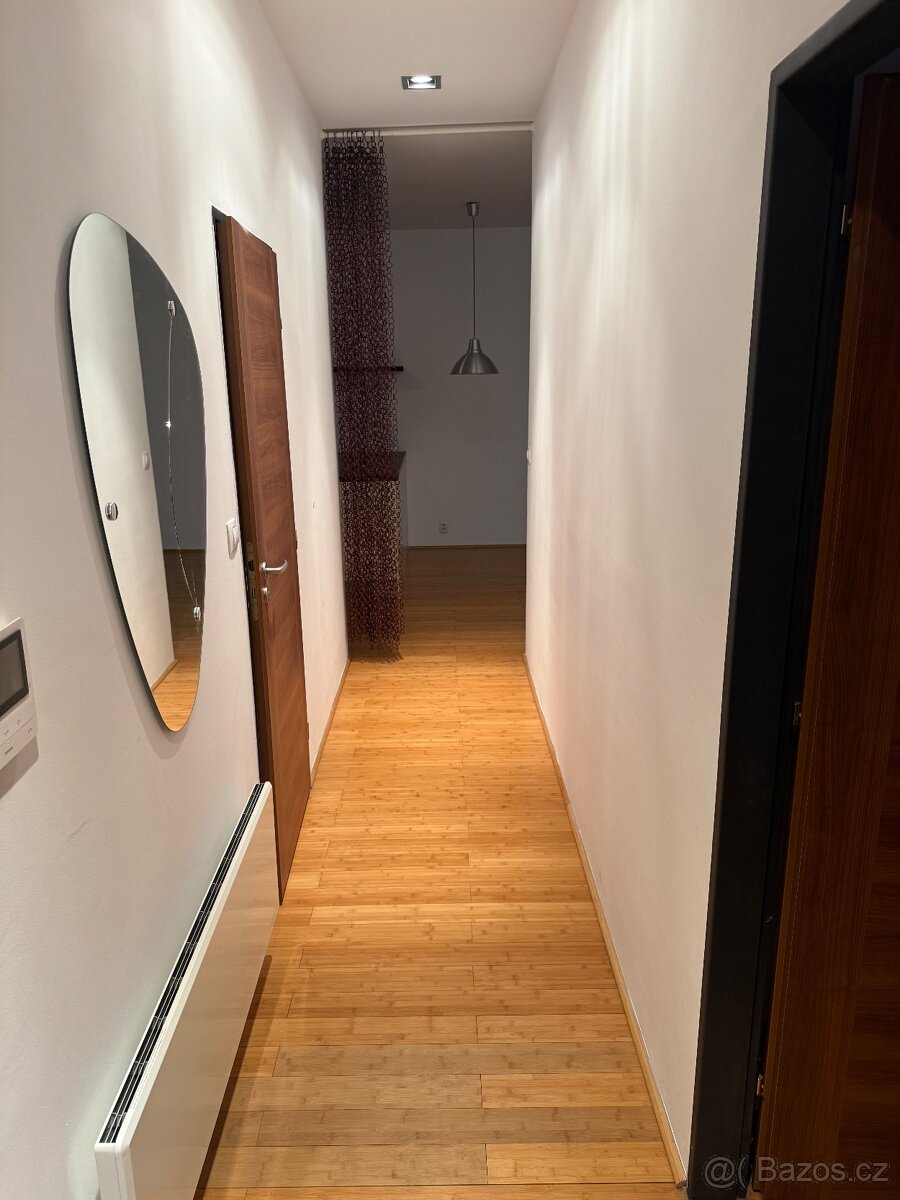 Byt Praha 3 Zerotinova ulice - 7