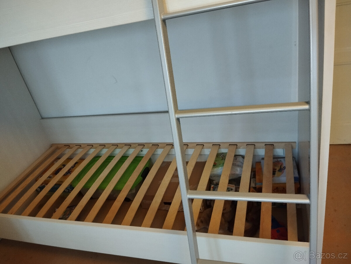 Palanda růžovobílá - 7