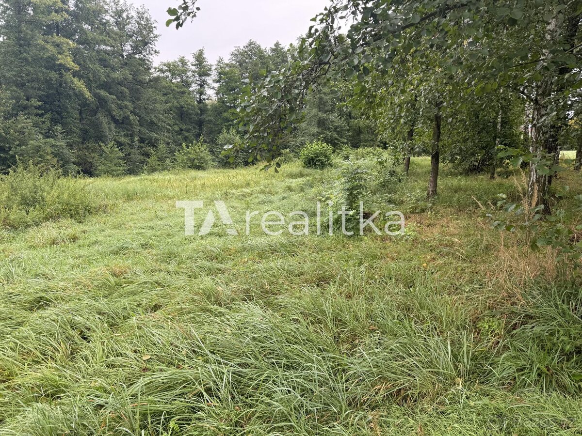 Prodej pozemek Pole Orlová 73514 - 7