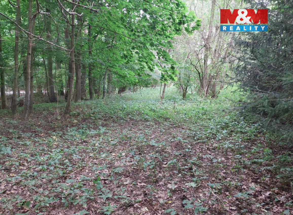 Prodej louky, 682 m², Bystřice, ul. Pod homolí - 7