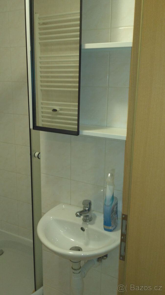 Pronájem bytu 1+kk - 7