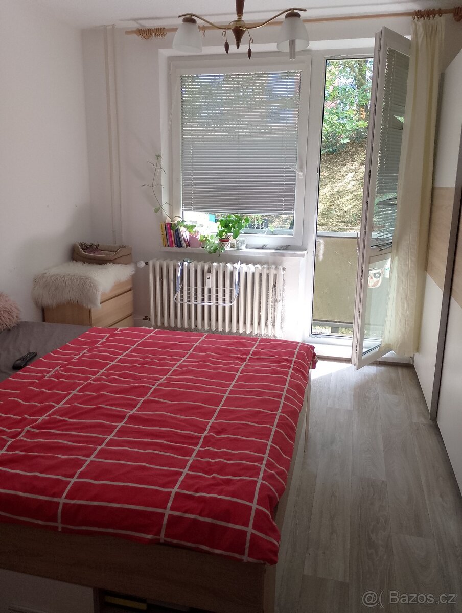 Pronájem / bez realitky/bytu 2+1 a šatník a balkon a .65 m2 - 7