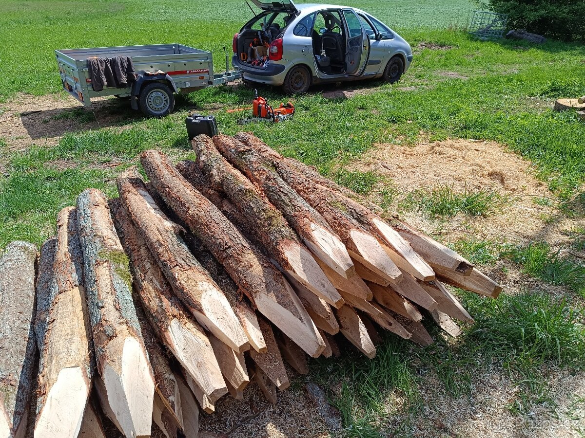 Dubové kůly a palivové dřevo - 7