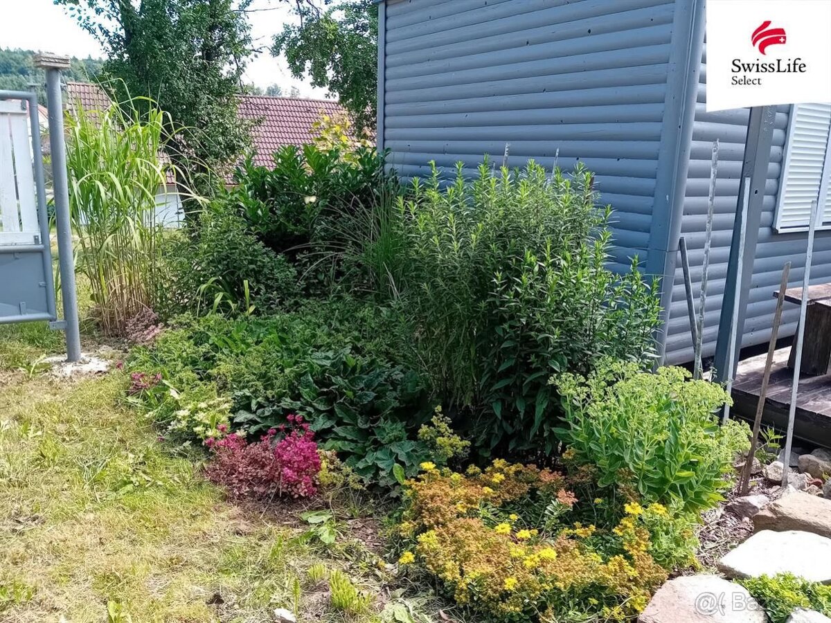 Prodej stavebního pozemku 3877 m2, Horní Cerekev - 7