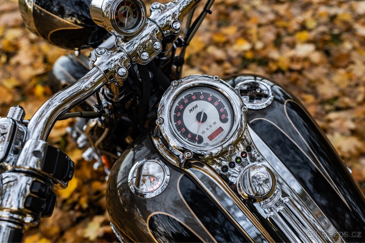 Harley - Davidson Springer CVO 110 - 7