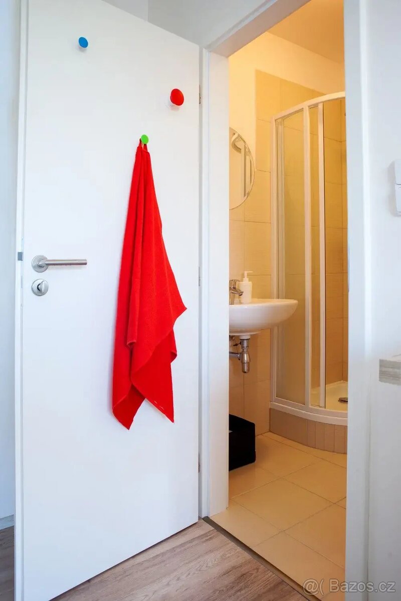 Pronájem bytu 1+kk 40 m² - 7