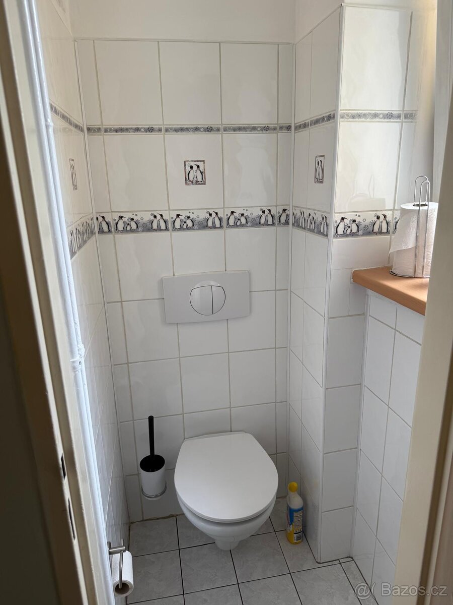 Byt 2+1 o rozloze 61 m² v centru Sokolova - 7