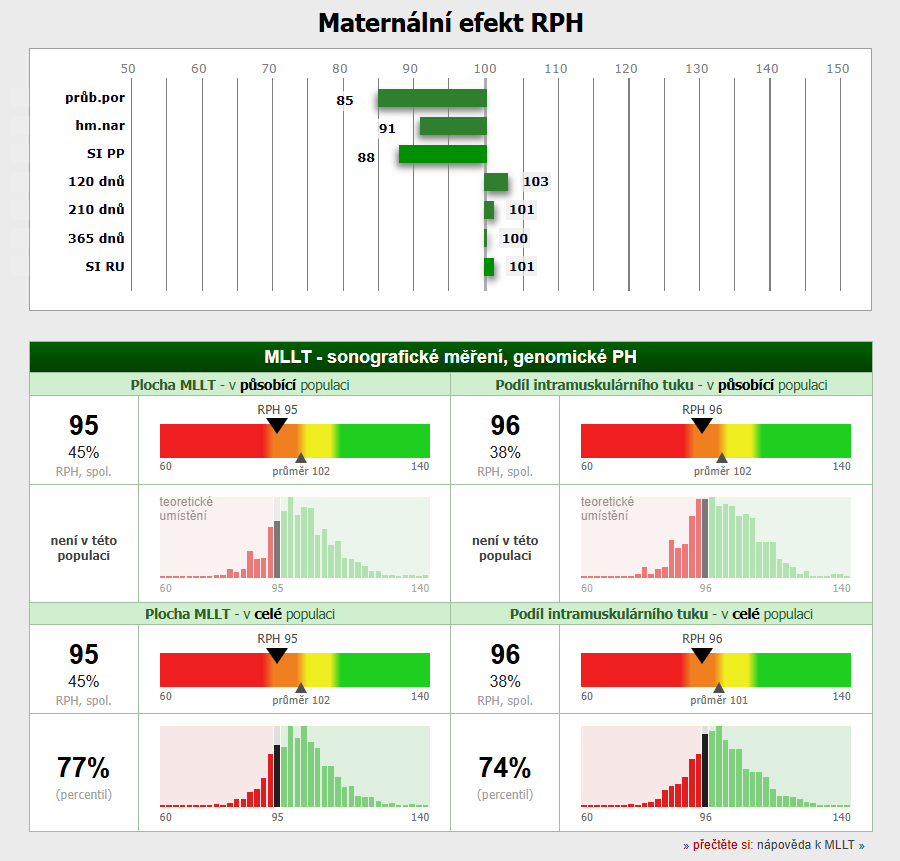 Plemenný býk Aberdeen Angus Black - 7