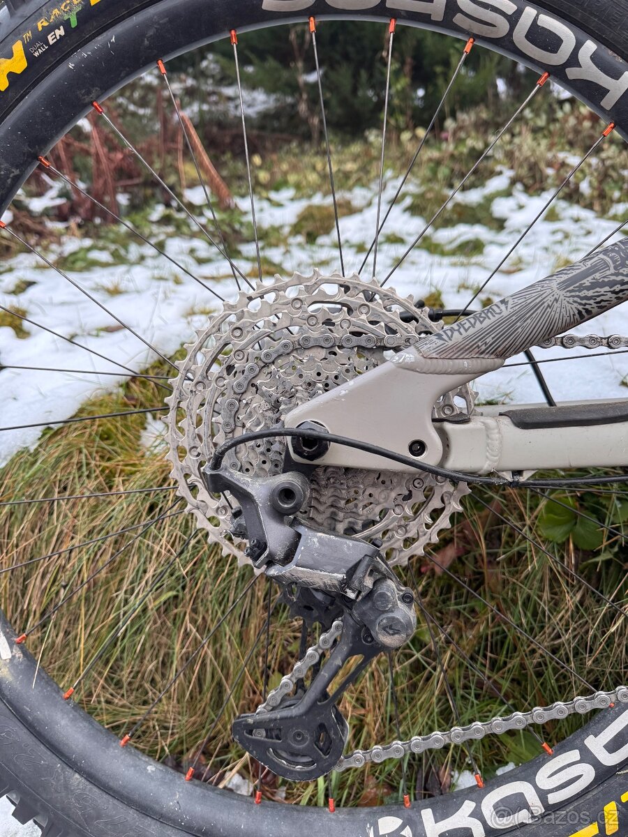 Rocky Mountain Reaper - 7