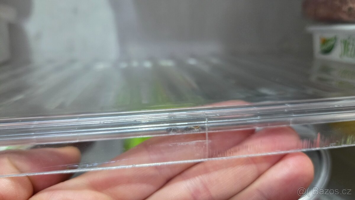 Lednice se samostatným mrazákem Bosch - 7