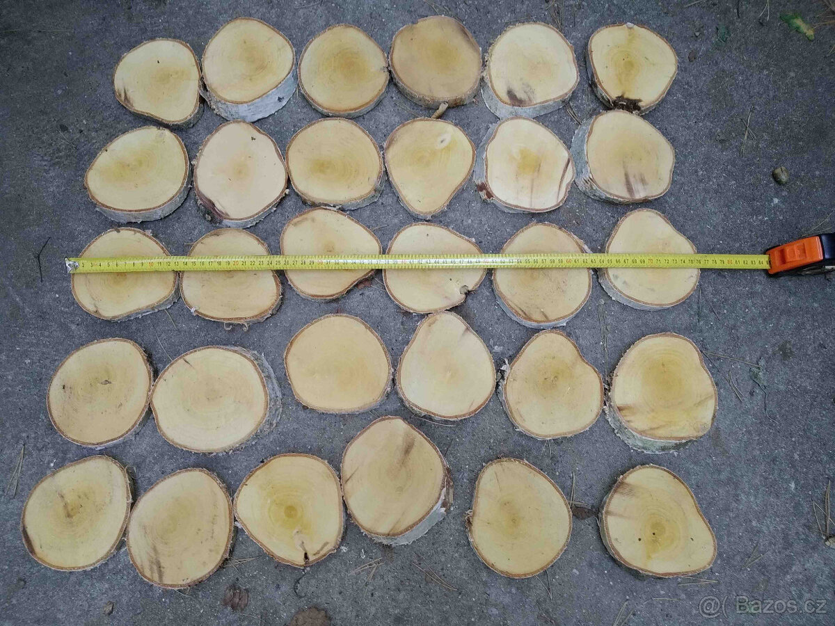 Placky bříza,kolečka a šikmé placky z břízy i jiného dřeva - 7
