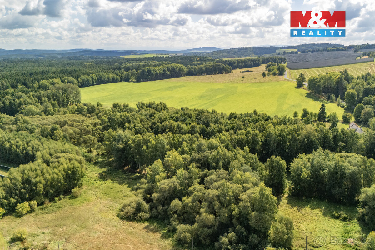 Prodej pole, 238031 m², Přimda - 7