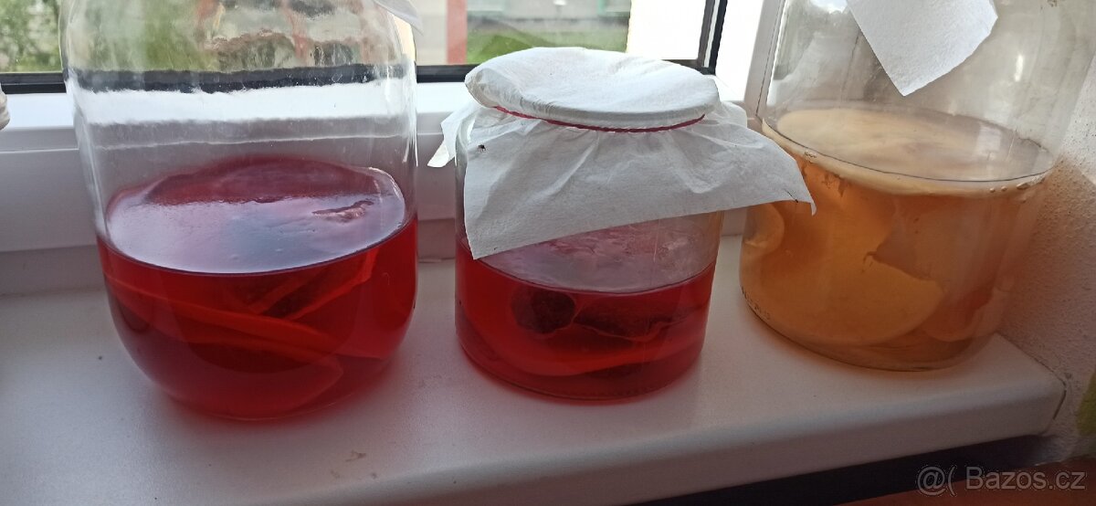 kombucha, kombuča, kombu-cha - 7