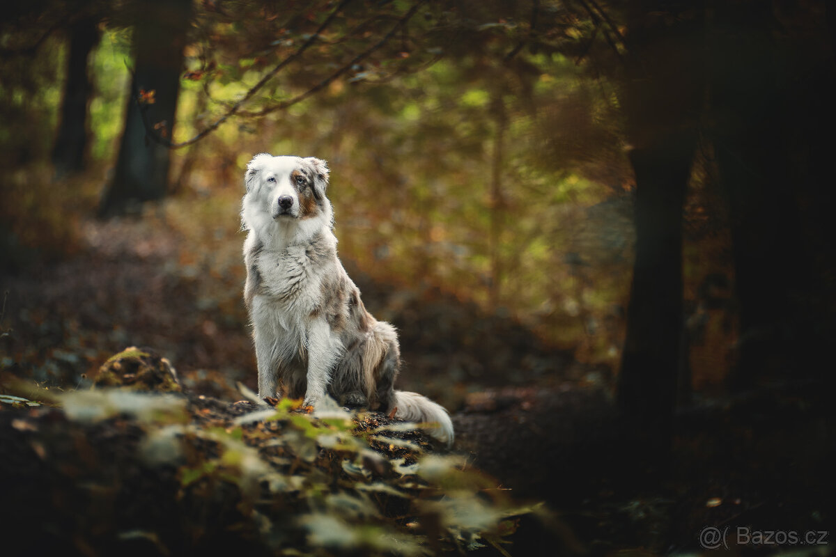 Meopta Meostigmat 120/2,1 M42 - 7