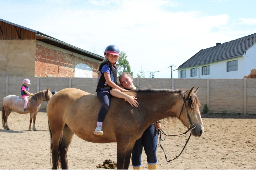 WPBr plavá tříletá kobylka - 7