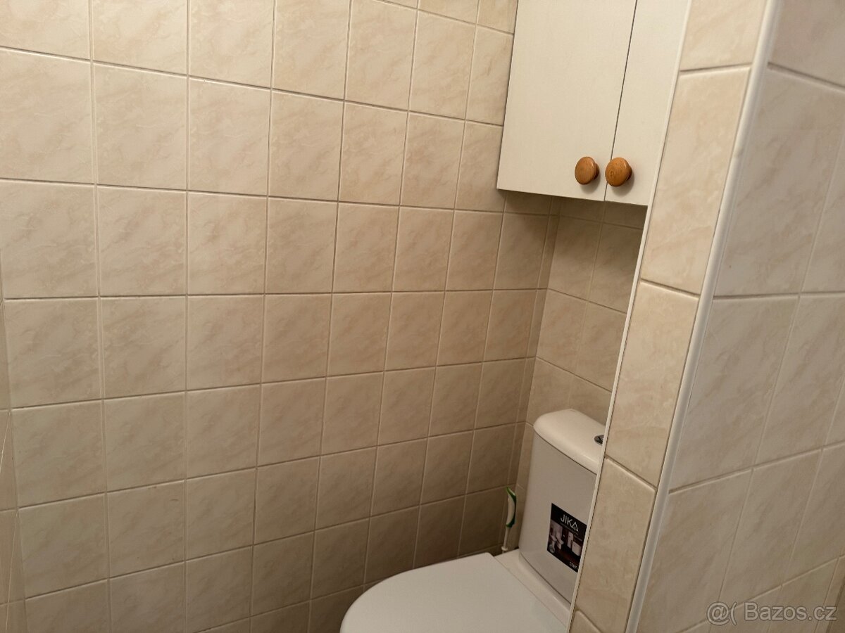 Pronájem bytu 2+kk, 40 m² – Pražské předměstí - 7