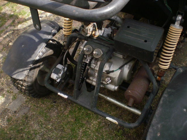 buggy 110 - 7