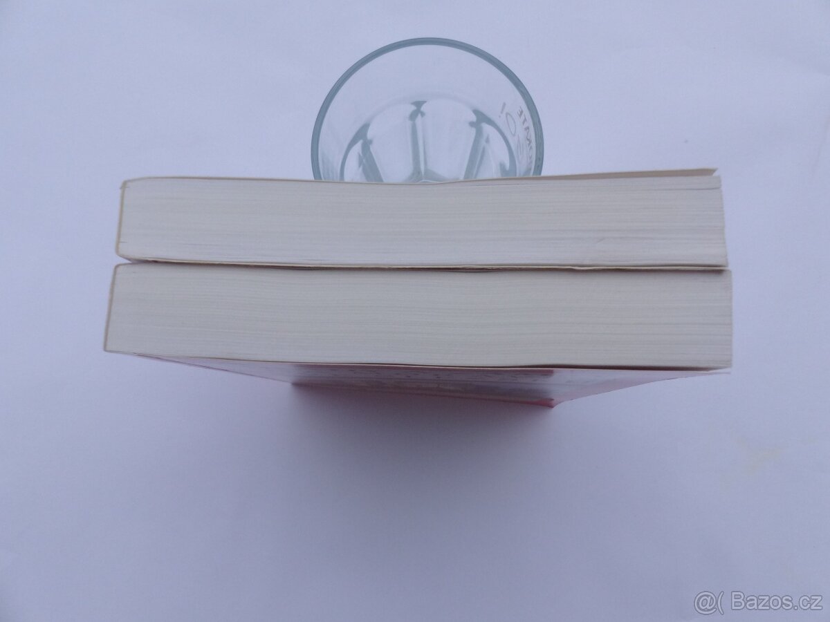 Tomáš Durdík : Encyklopedie českých hradů - viz foto - 7