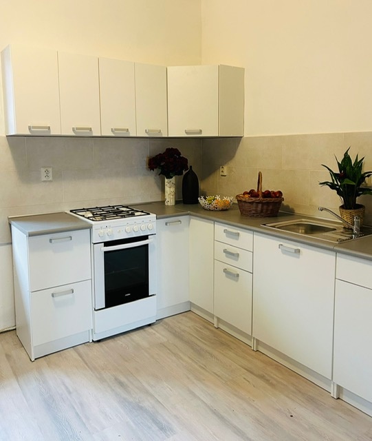 Pronájem nově zrekonstruovaného bytu - 7