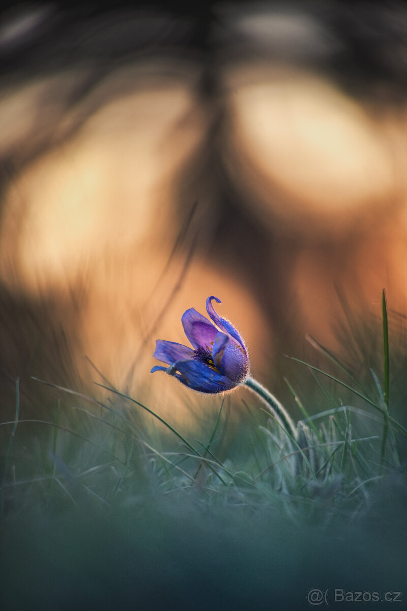 Meopta Meostigmat 109/1,7 Sony E a další - 7