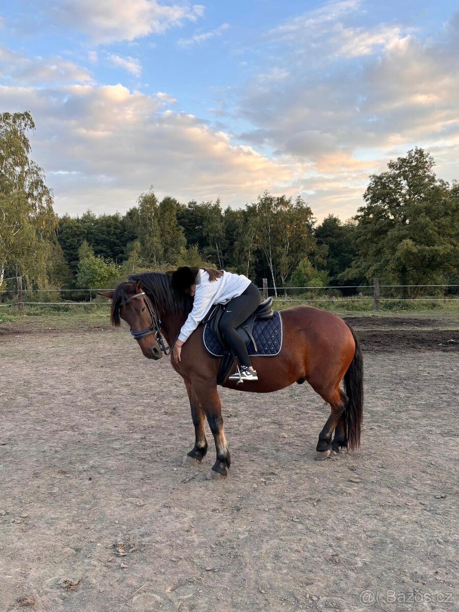 Valach na prodej - 7