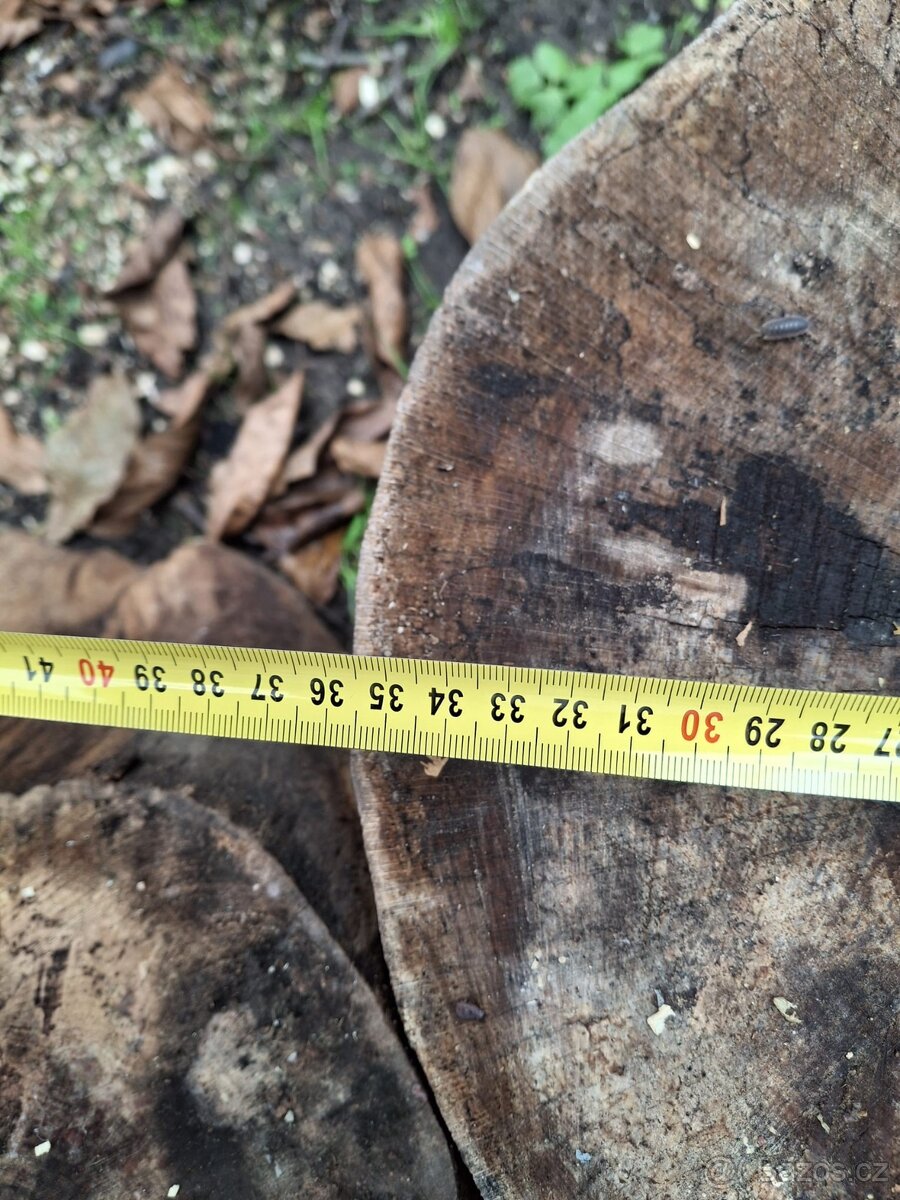 dubové špalky 5 kusů - 7