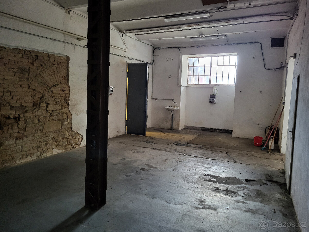 Pronájem skladu nebo provozovny, obchodní prostory, garáž - 7