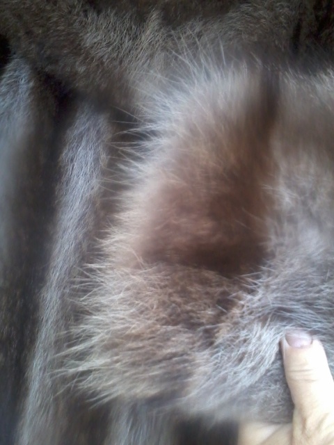 kožich mýval, norek - 7