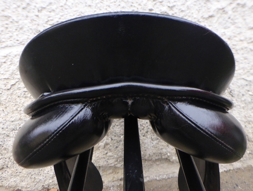 Grand Gilbert Passier Extra - 7