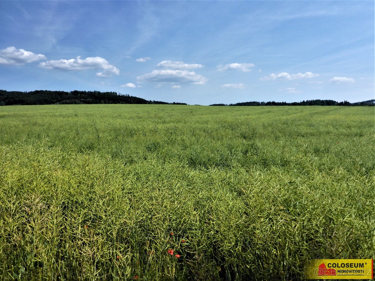 Letovice - zemědělská půda 7 225 m² - pozemek - 7