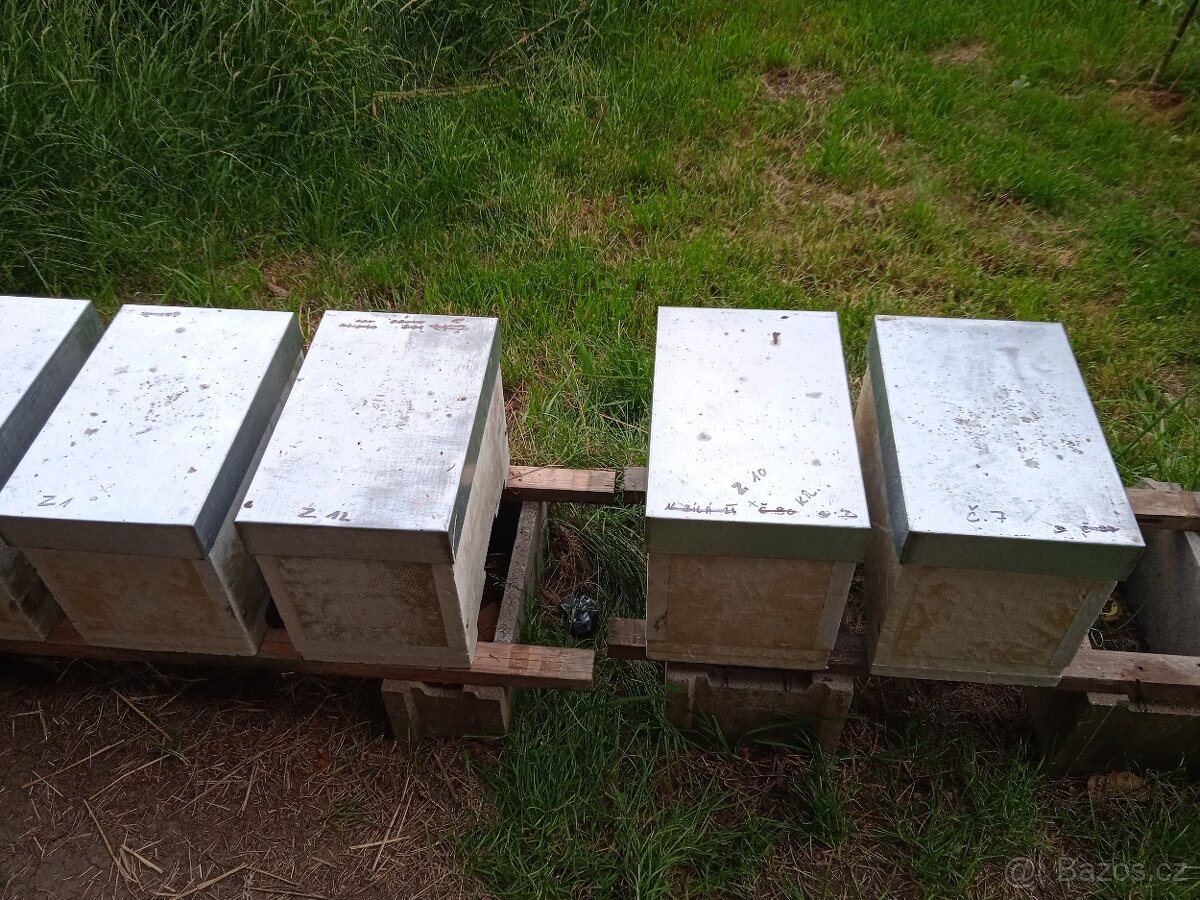 Včelí odděleky - 7