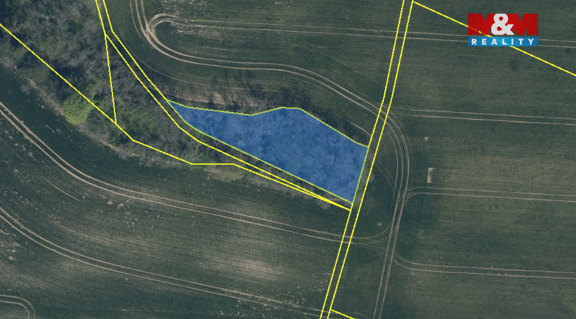 Prodej lesa v Drahobuzi - 7