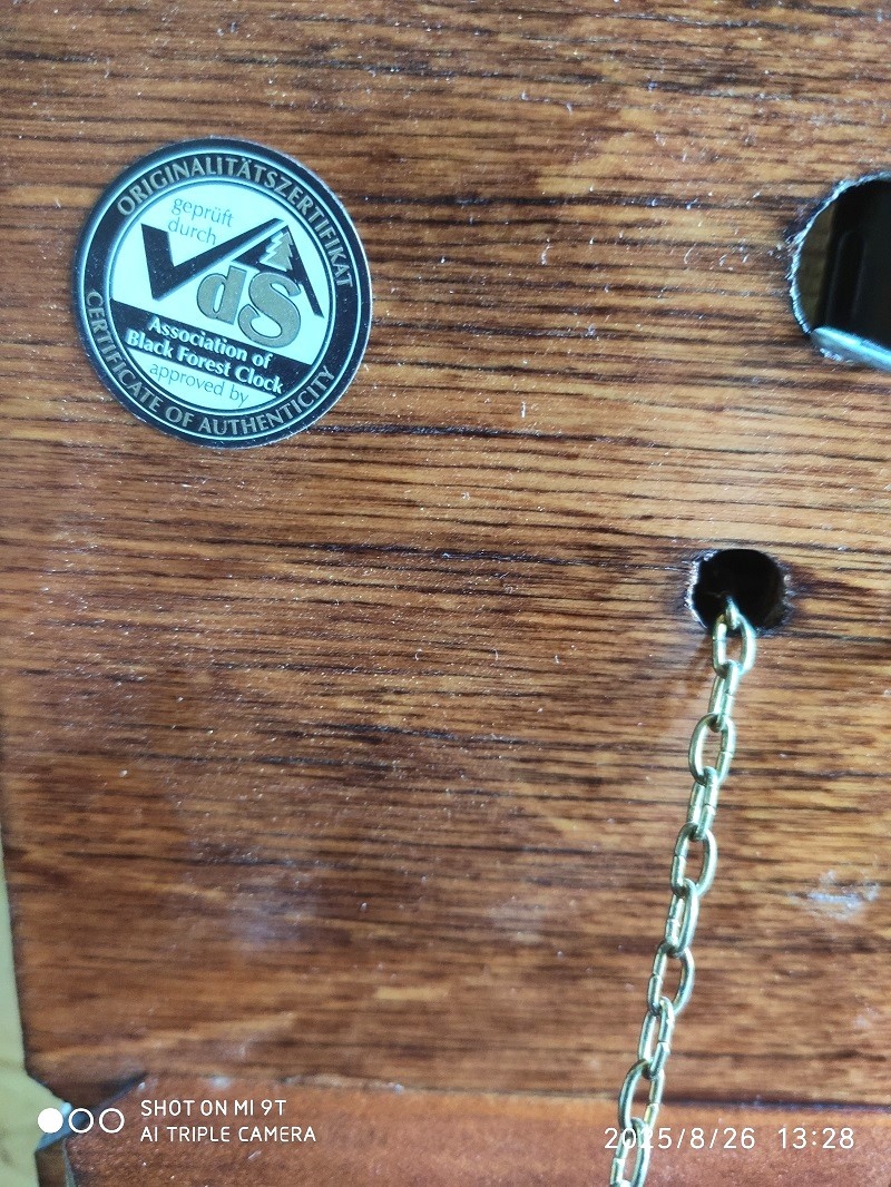 Hezke, kukacky, Schwarzwald - 7