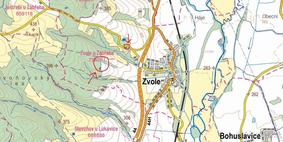 Prodám lesní pozemky v k.ú. Zvole u Zábřeha - 7