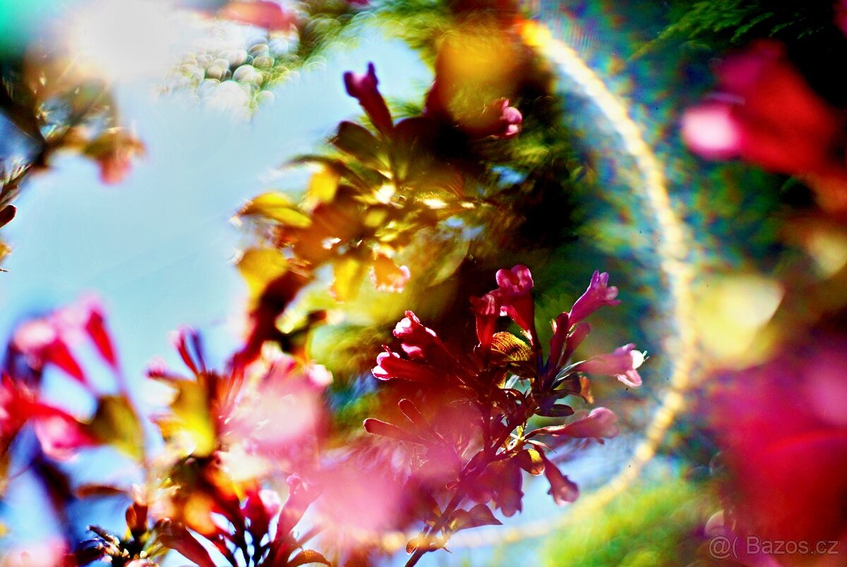 CZJ Pancolar auto MC 1,8/50 M42 TOP STAV - 7